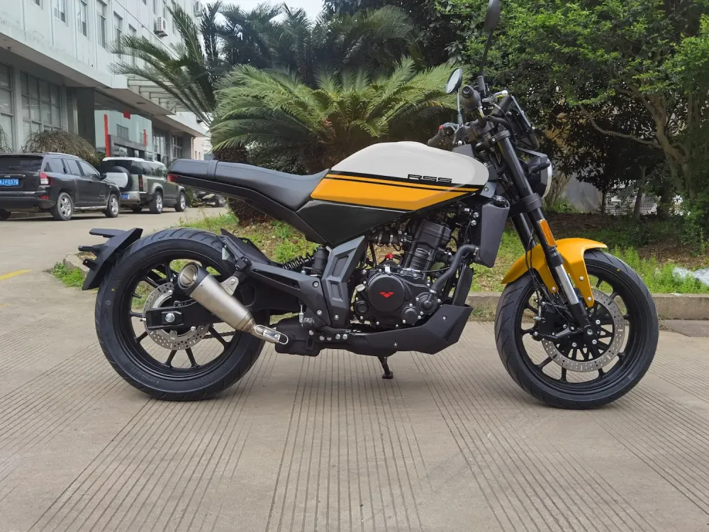 RSS 125 Euro 5