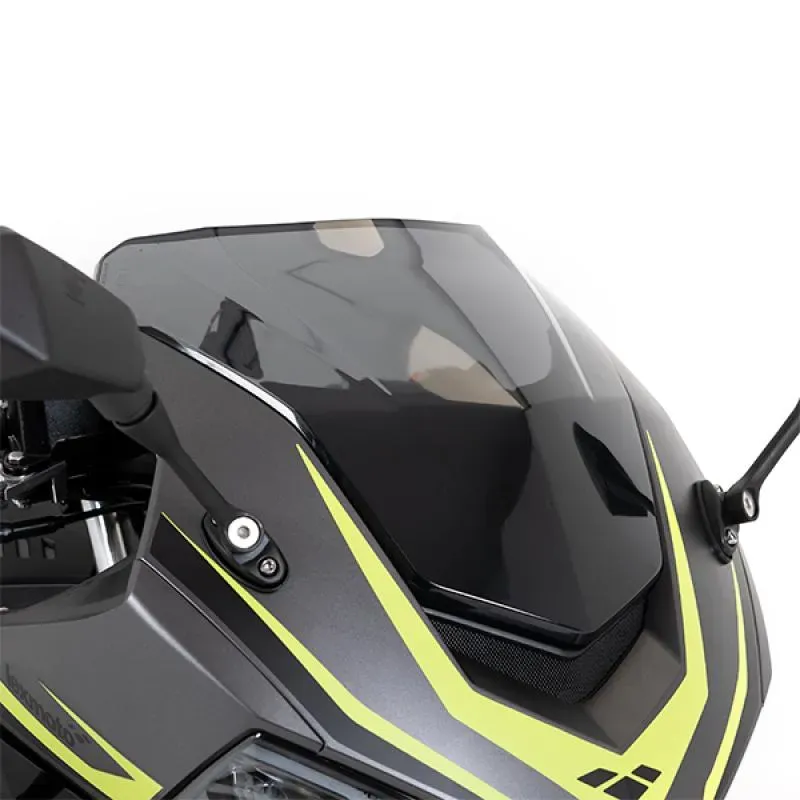 Lexmoto LXS 125cc Euro 5 (2)